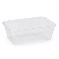 Plastic Rectangular Container