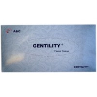 Facial Tissue 100sheets 2ply 20x19cm 48boxes/ctn