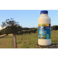 DAIRY FARMER FULL CREAM MILK 24PK x 200ML